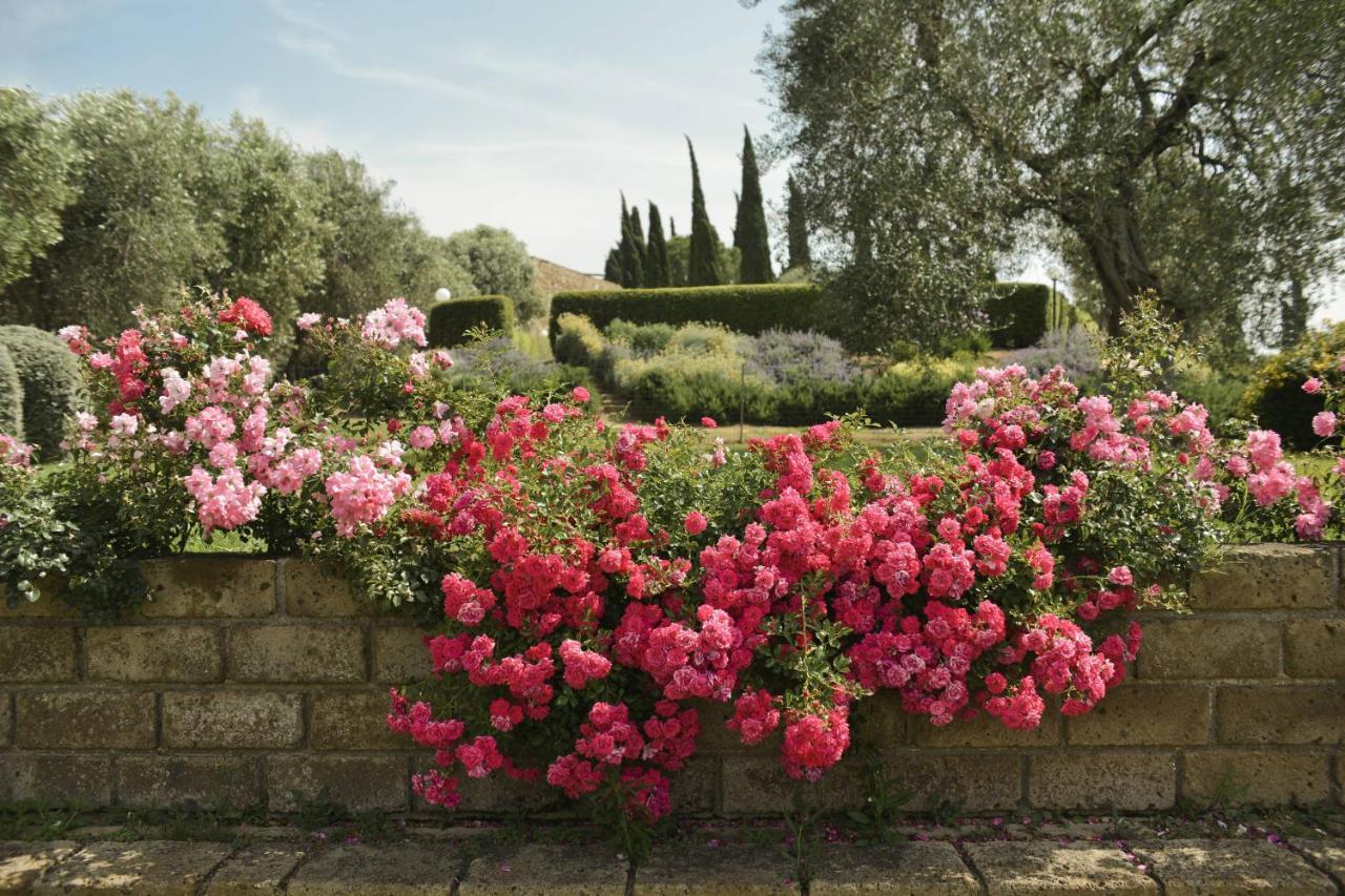 Tenuta Di Poggio Cavallo Casa di campagna Istia dʼOmbrone