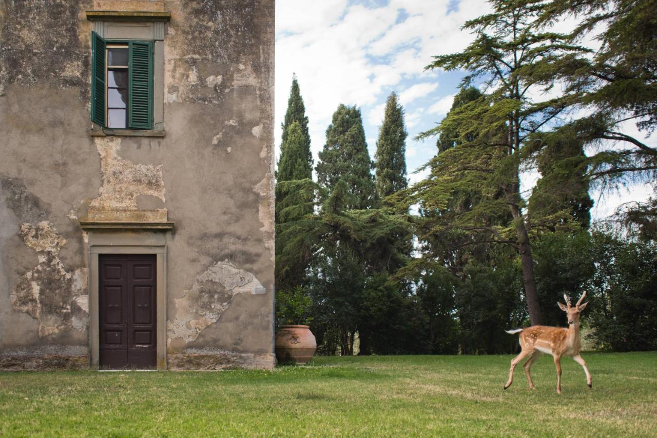 Tenuta Di Poggio Cavallo Istia dʼOmbrone