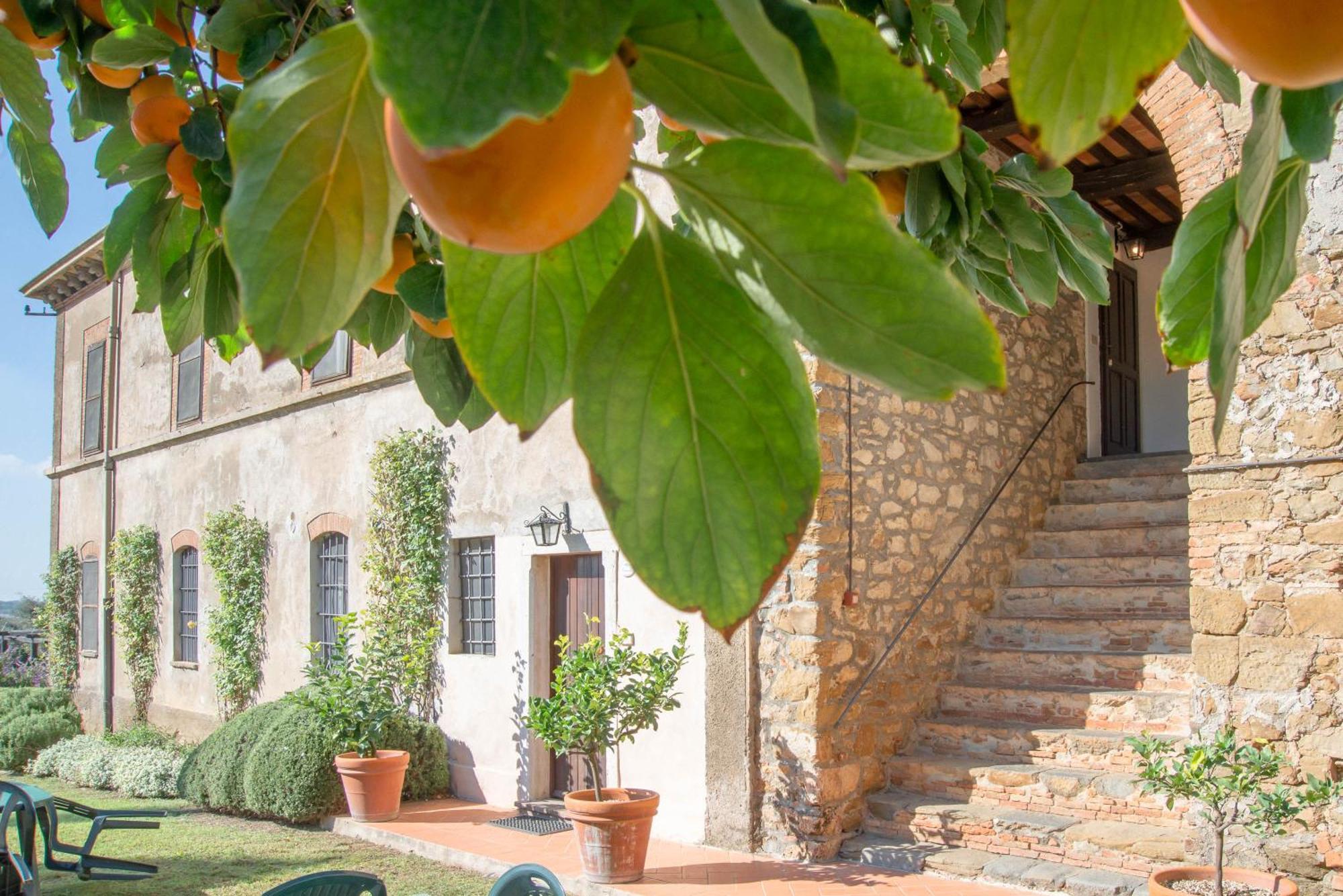 Tenuta Di Poggio Cavallo Casa di campagna Istia dʼOmbrone