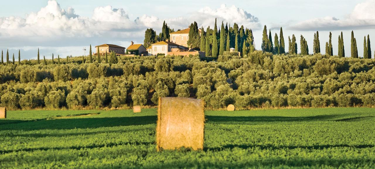 Casa di campagna Tenuta Di Poggio Cavallo *